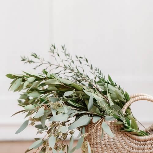 Eucalyptus in basket - Wildflower Virtual Assistant Services in Holmfirth