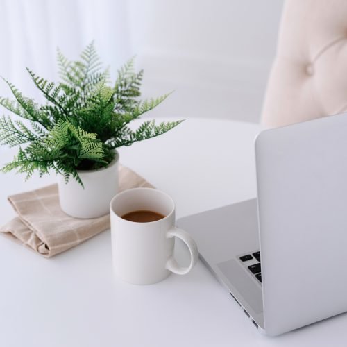 Desk scene with fern and coffee cup - Wildflower Pinterest Management